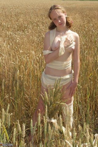 Деревенская дева обнаженная на пшеничном поле